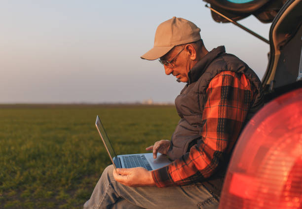 Senior farmer standing in young wheat field with laptop and examining crop.