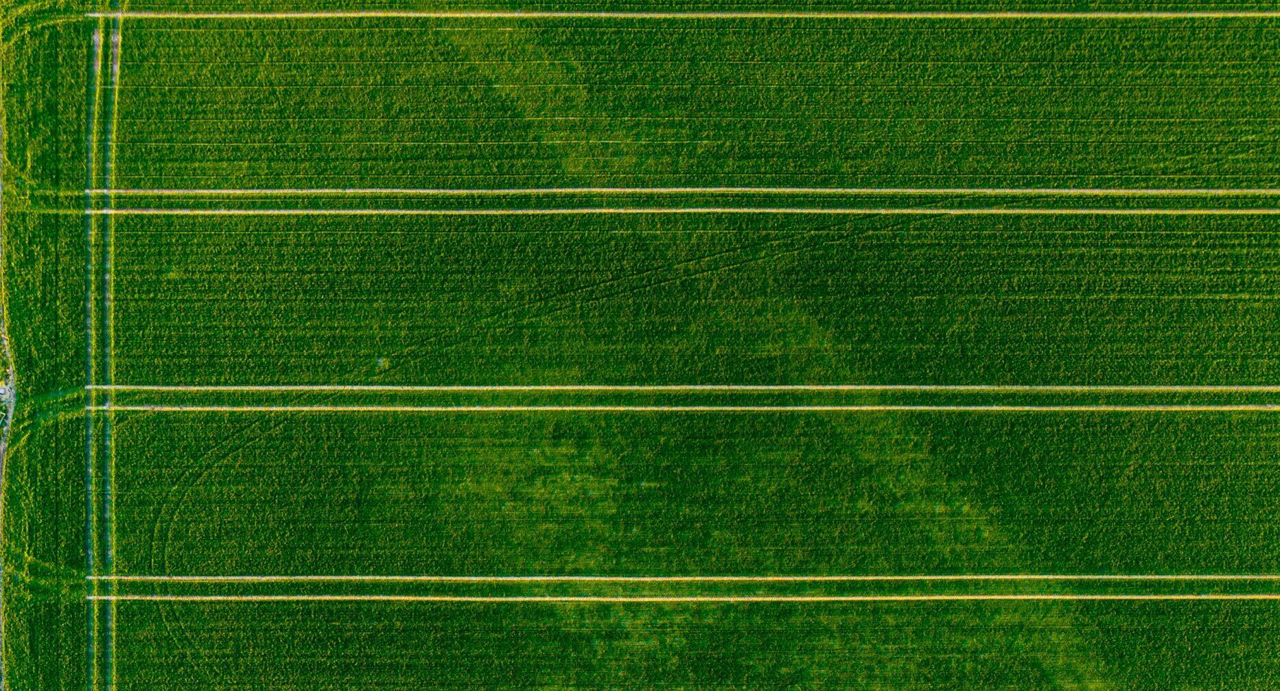 Aerial crop rows: SEO, GEO and AEO visibility for NZ agribusiness brands